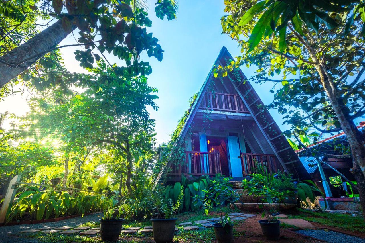 Villa Ovita Talpe Extérieur photo