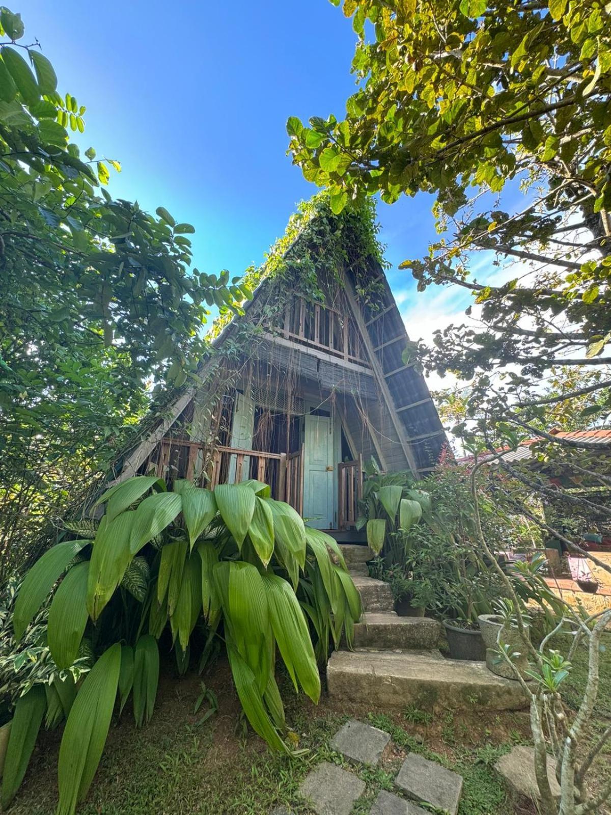Villa Ovita Talpe Extérieur photo