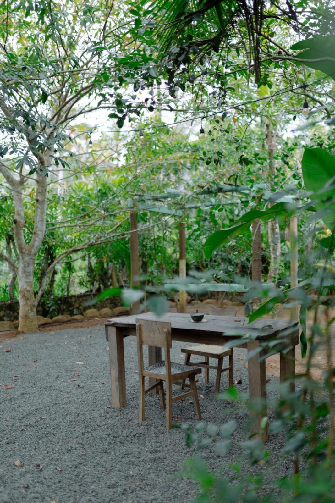 Villa Ovita Talpe Extérieur photo